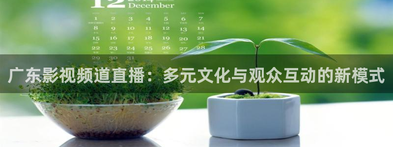 jrkan直播免费高清体育直播：广东影视频道直播：多元文化与观众互动的新模式