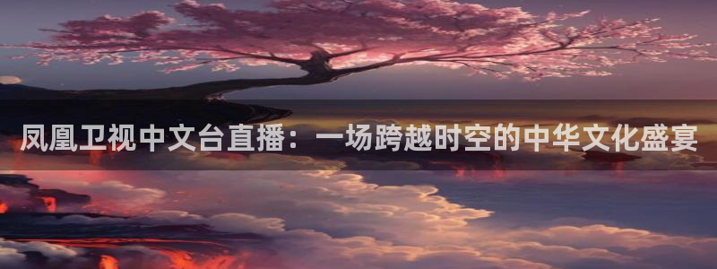 jr看直播nba：凤凰卫视中文台直播：一场跨越时空的中华文化盛宴