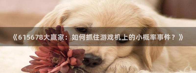 jrkankan体育直播：《615678大赢家：如何抓住游戏机上的小概率事件？》